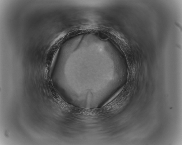 X0000094801254200711301532