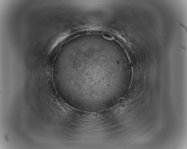 X0000094801255200711301532
