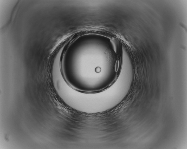 X0000094801256200711301532