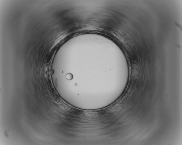 X0000094801258200711301532