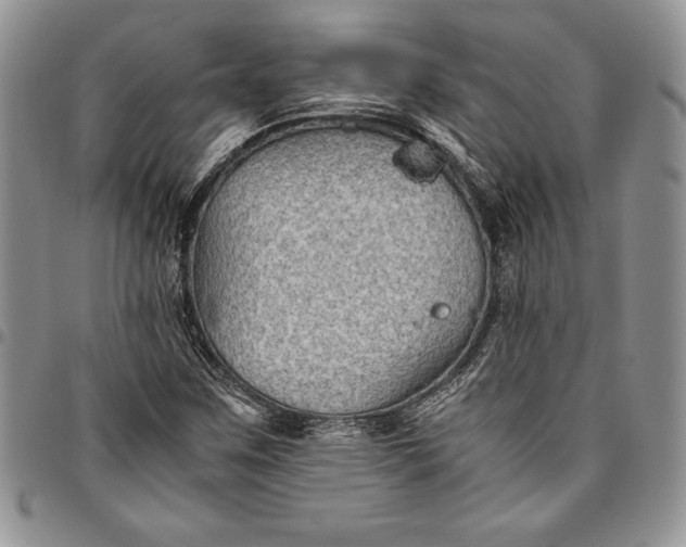 X0000094801259200711301532