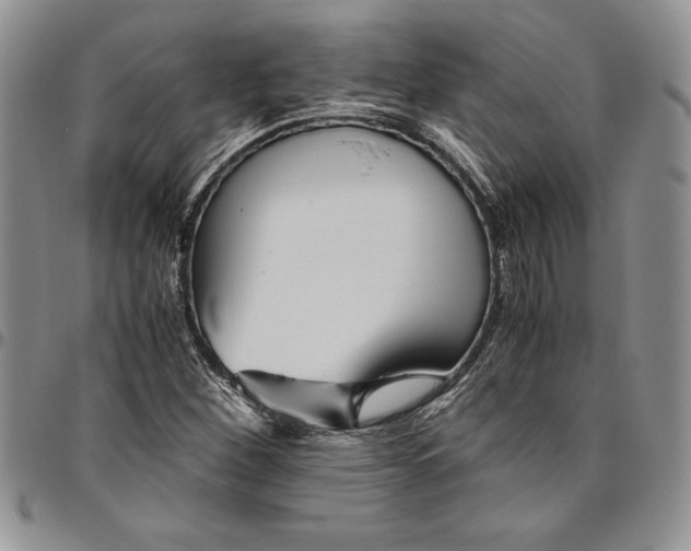 X0000094801260200711301532