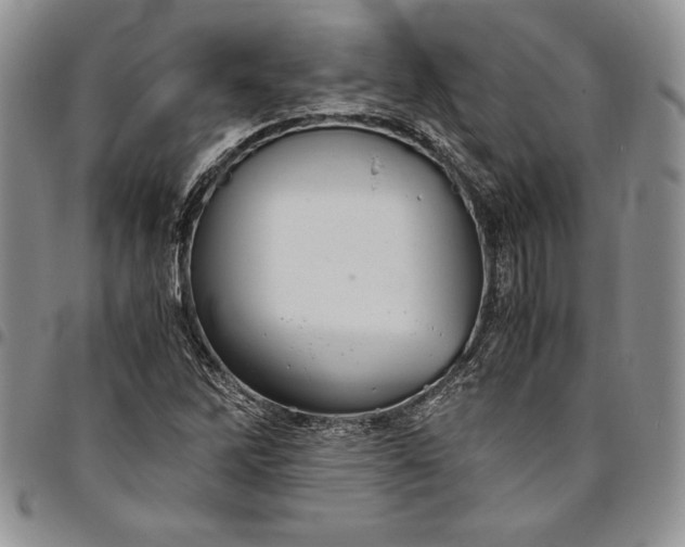 X0000094801262200711301532