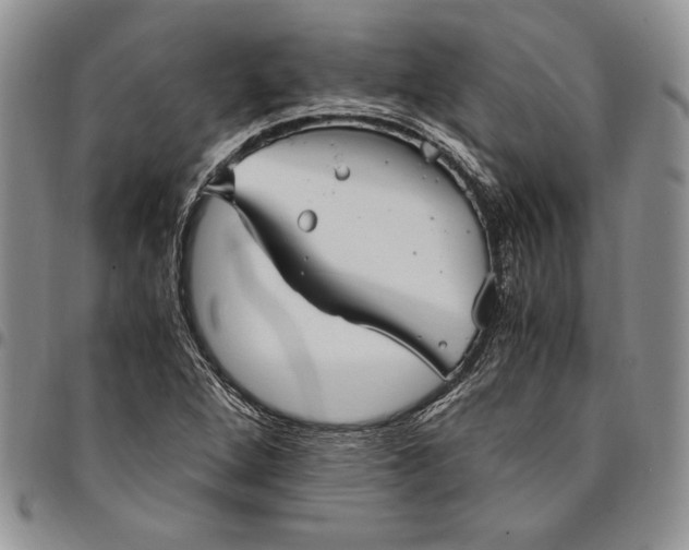 X0000094801264200711301531