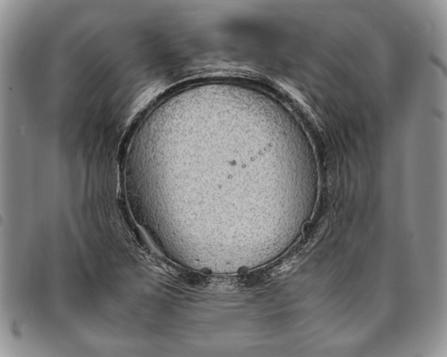 X0000094801267200711301531