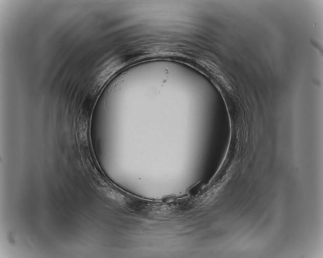 X0000094801273200711301531