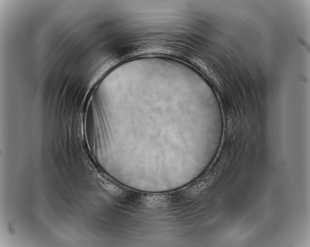 X0000094801274200711301531