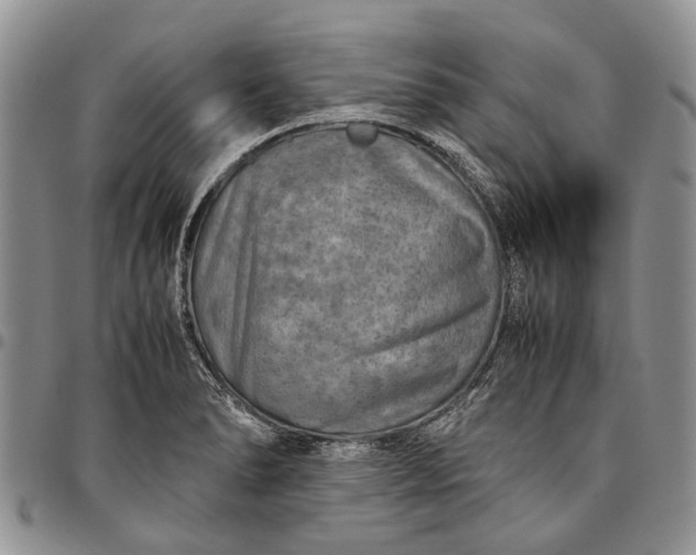 X0000094801278200711301531