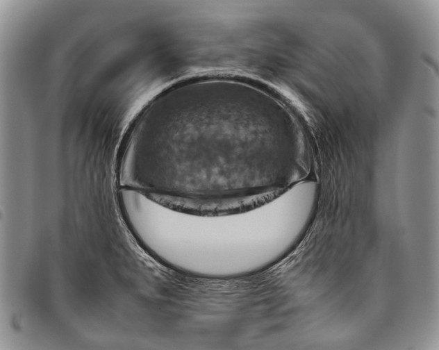 X0000094801279200711301531