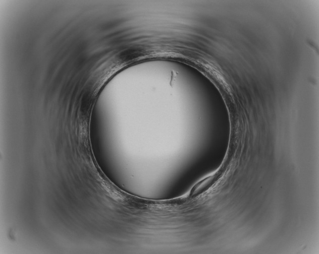 X0000094801281200711301531