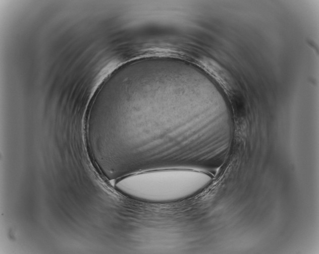 X0000094801283200711301531