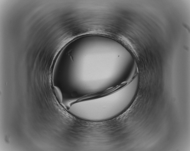 X0000094801284200711301531