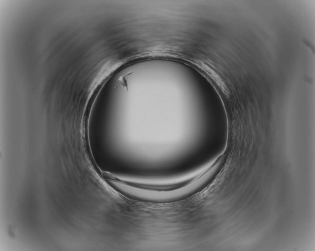 X0000094801285200711301531
