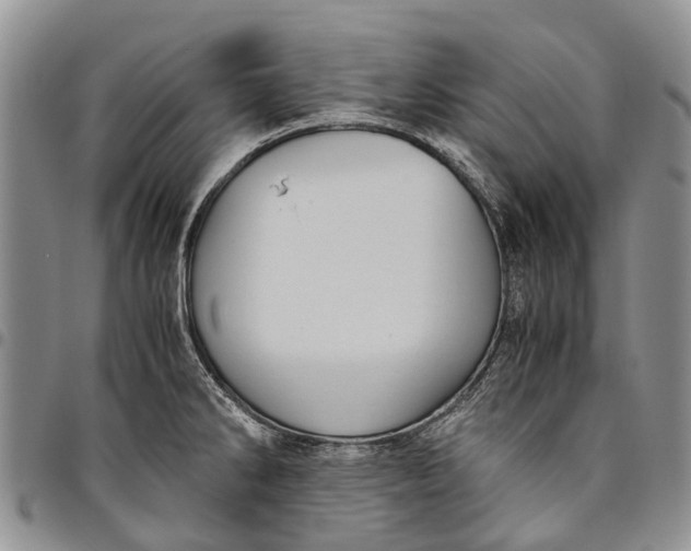X0000094801286200711301531