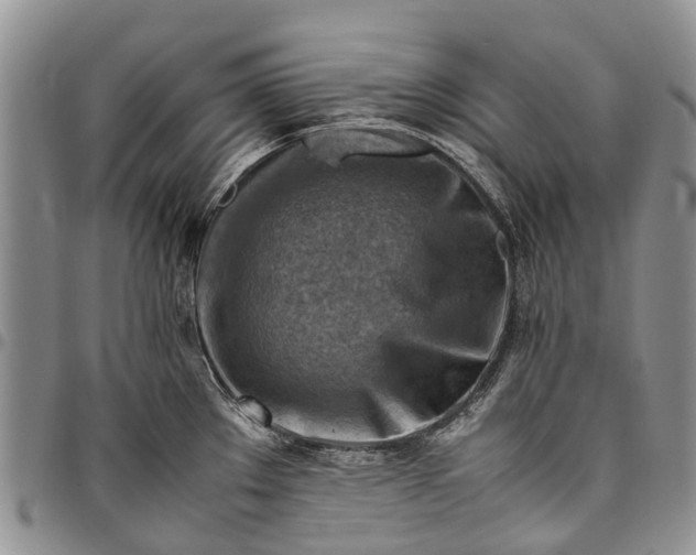 X0000094801289200711301531