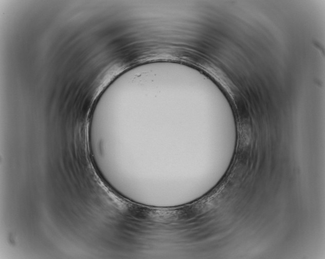 X0000094801290200711301531