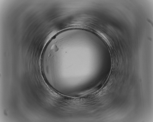 X0000094801291200711301531