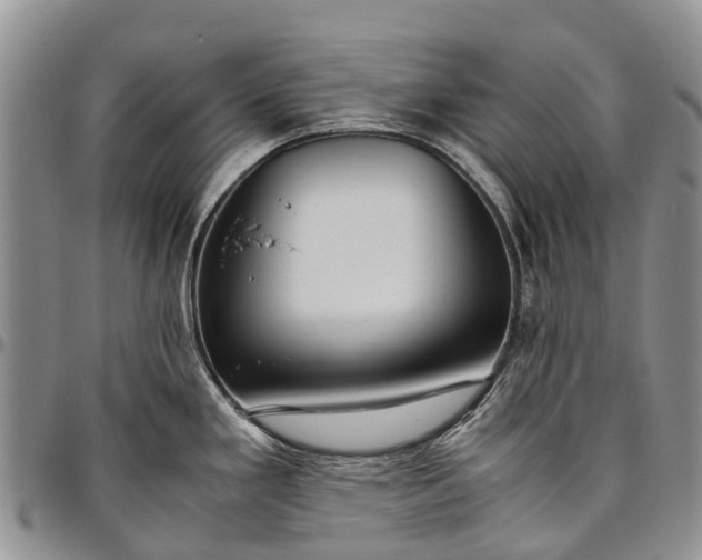 X0000094801293200711301531