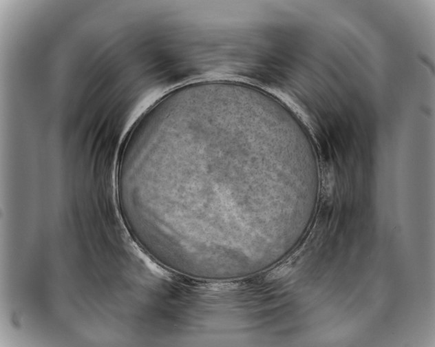 X0000094801294200711301531