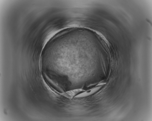 X0000094801295200711301531