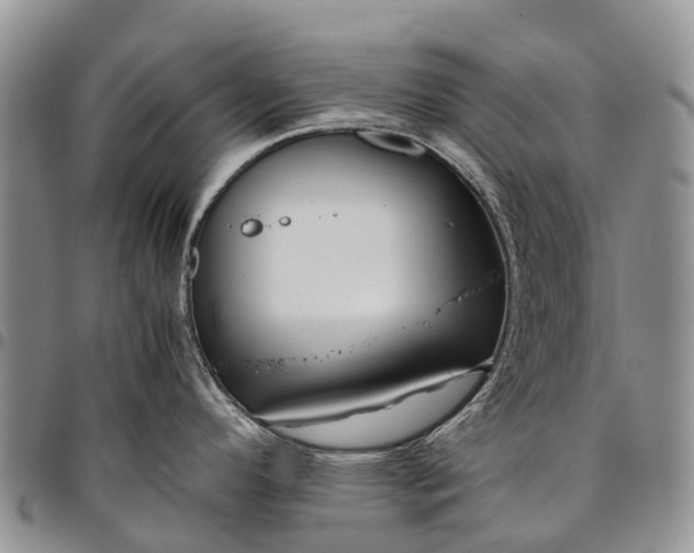 X0000094801296200711301531
