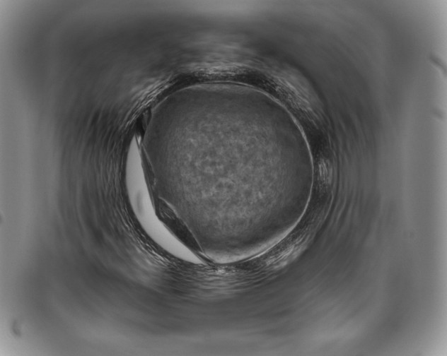 X0000094801300200711301530