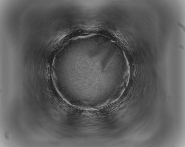 X0000094801301200711301530