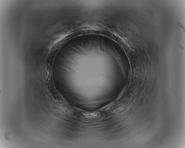X0000094801303200711301530