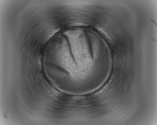 X0000094801305200711301531
