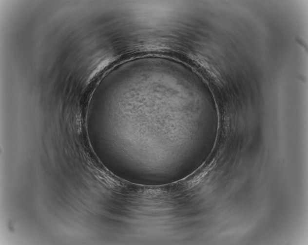 X0000094801306200711301531
