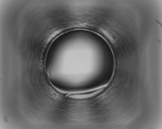 X0000094801308200711301531