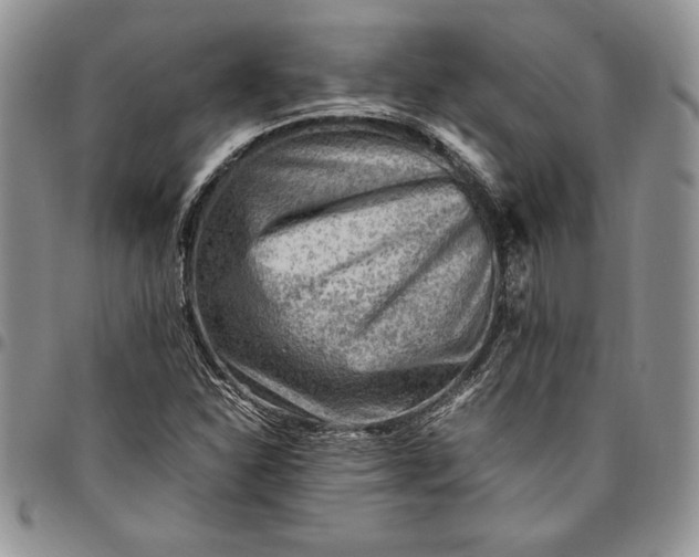 X0000094801310200711301531
