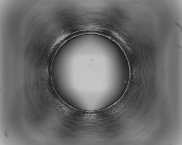 X0000094801315200711301531