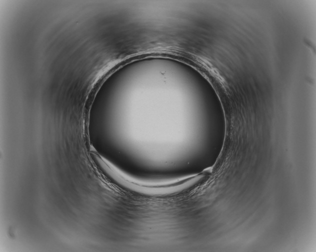 X0000094801316200711301531