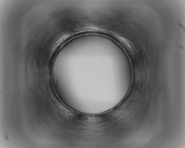 X0000094801318200711301531