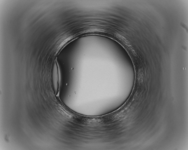 X0000094801321200711301531