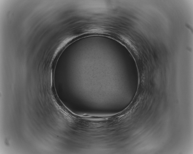 X0000094801323200711301531