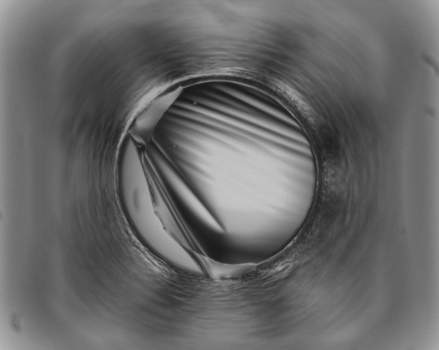 X0000094801324200711301531