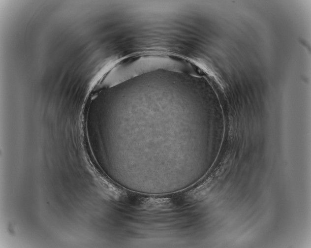 X0000094801325200711301531