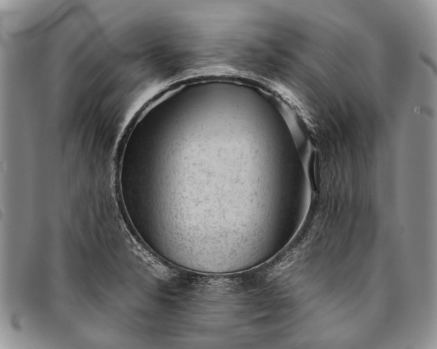 X0000094801326200711301531