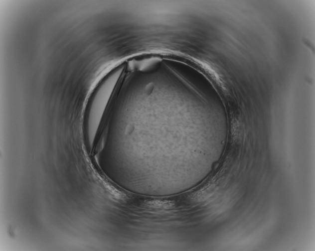 X0000094801327200711301531