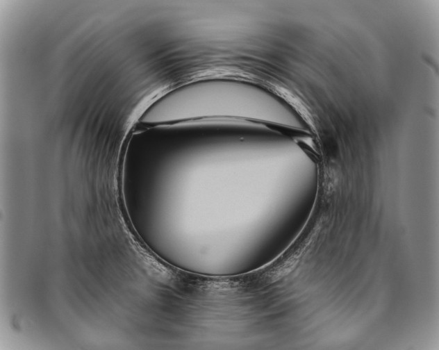 X0000094801330200711301531