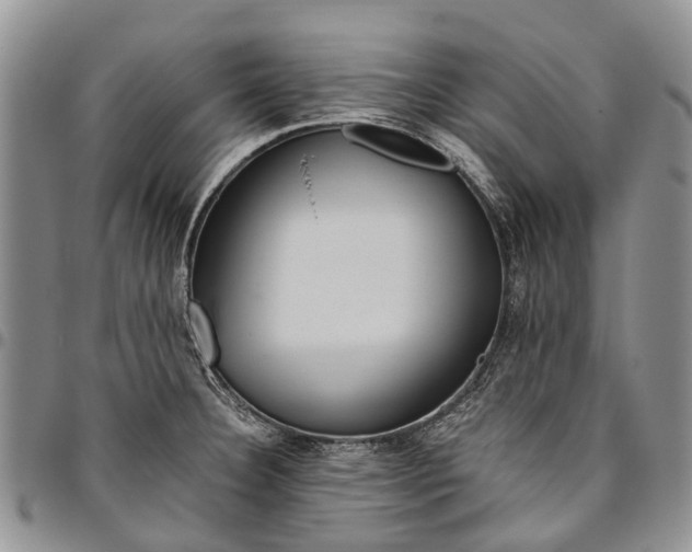 X0000094801332200711301531