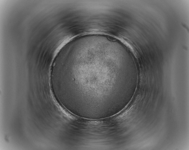 X0000094801333200711301531
