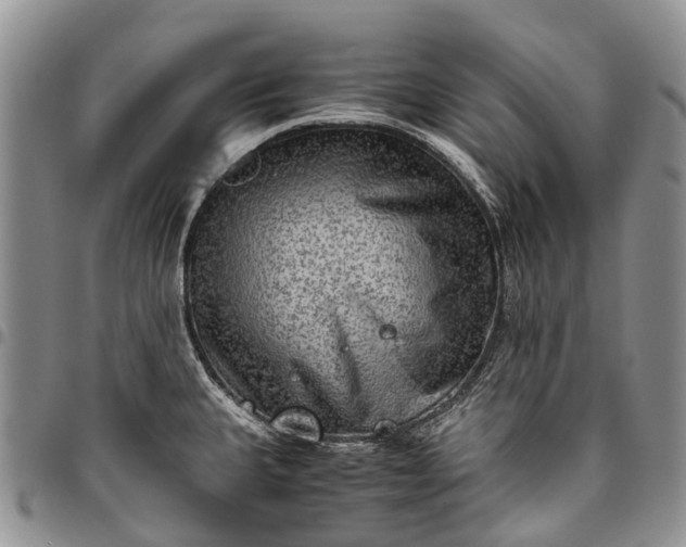 X0000094801335200711301531