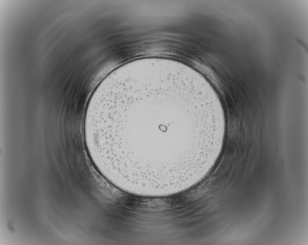 X0000094801338200711301531