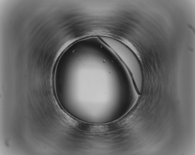 X0000094801339200711301531