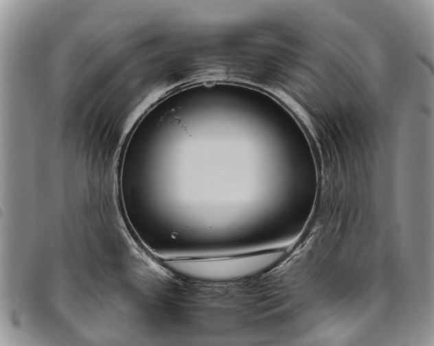X0000094801341200711301531