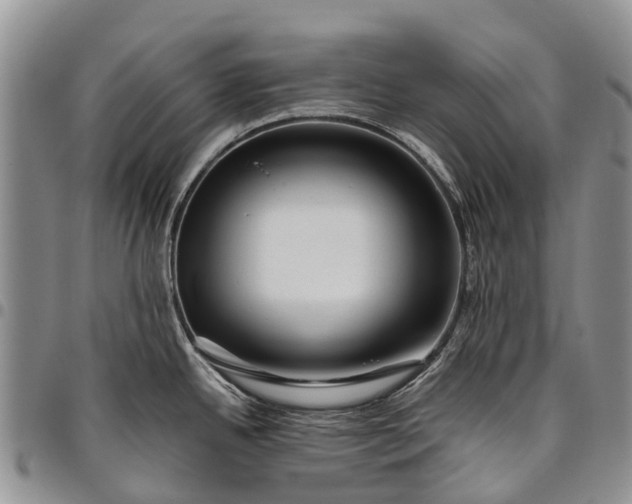 X0000094801342200711301531