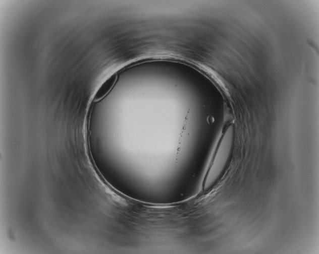 X0000094801343200711301531